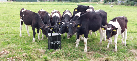 Recyco startet in Deutschland